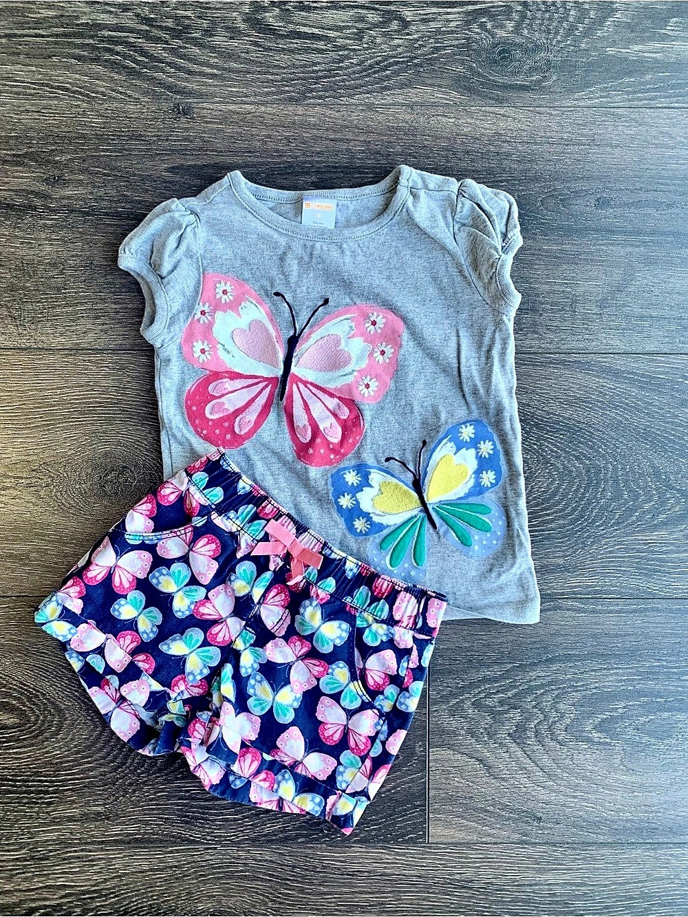 Gymboree Butterfly Applique Gray T-Shirt and Shorts Outfit Set T-Shirt & Shorts